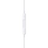 Apple EarPods